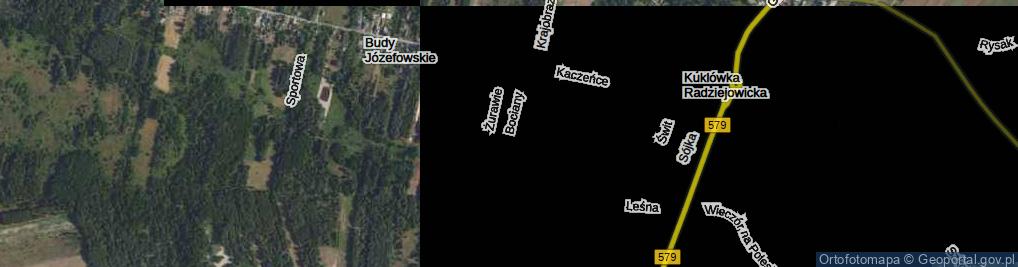 Zdjęcie satelitarne Bociany ul.